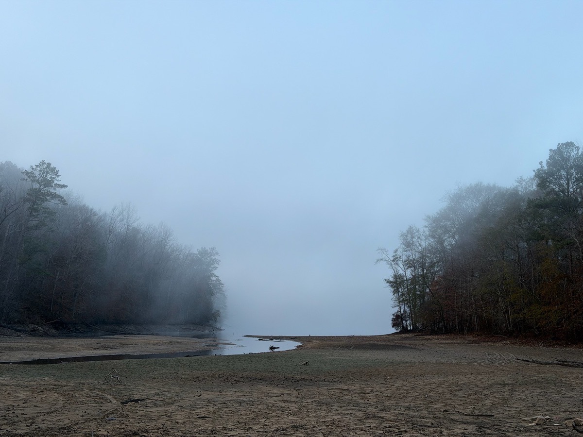 Foggy winter lakebed at dusk