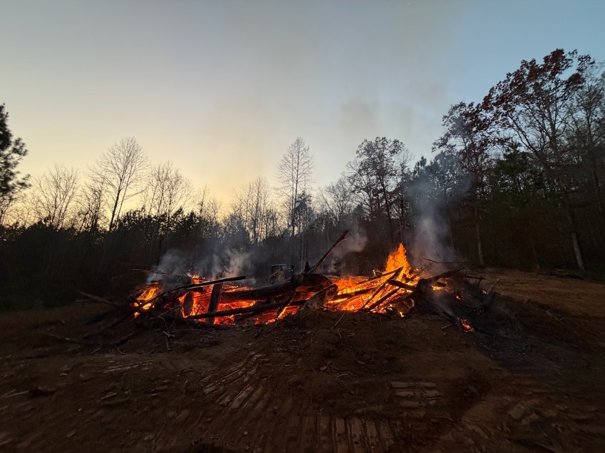 Glowing embers with sparks trailing into the night sky